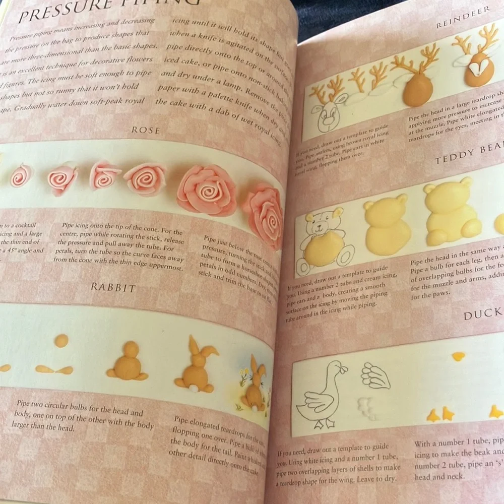 Set of‎ Three Cake & Cupcake Decorating Books